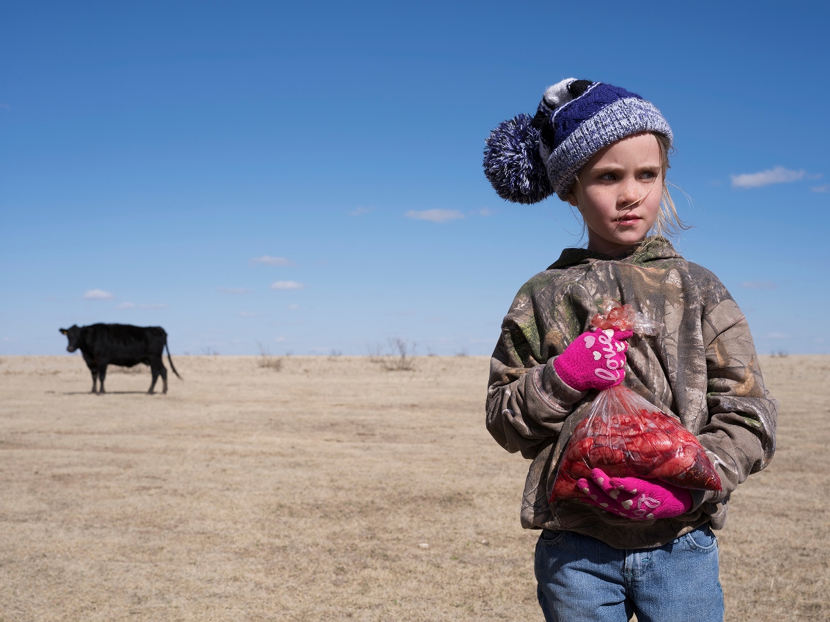 FO – Fotografia Open - Lucas Foglia